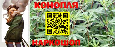 ПСИЛОЦИБИНОВЫЕ ГРИБЫ Кингисепп