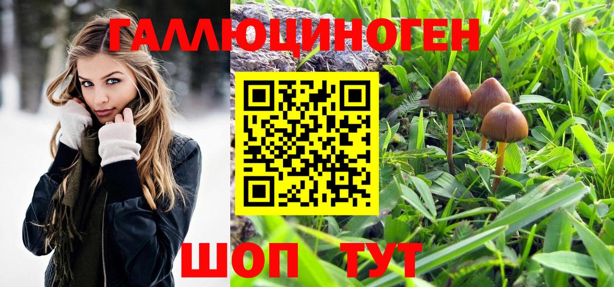 Галлюциногенные грибы Magic Shrooms Грязи