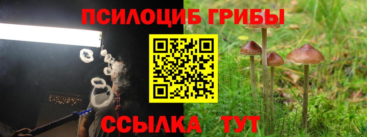 Псилоцибиновые грибы прущие грибы  Вход с VPN  Псилоцибиновые грибы MAGIC MUSHROOMS  Грязи 